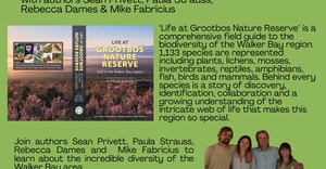 21 October 2026: Grootbos Sundowner Session