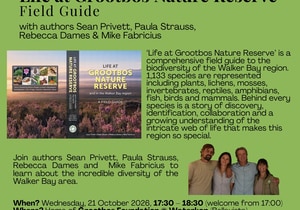 21 October 2026: Grootbos Sundowner Session