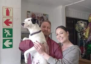 Nina Has Found Her Forever Home!