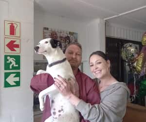 Nina Has Found Her Forever Home!