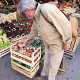 Sourcing Ingredients - La Trattoria - Xplorio™ Stanford