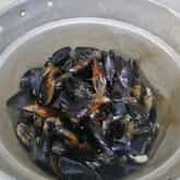 Mussels - La Trattoria - Xplorio™ Stanford