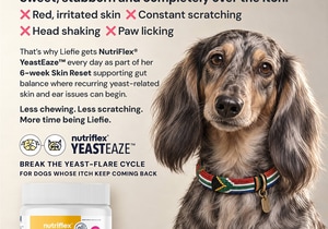 Dog Itchy Skin and Yeast Support | NutriFlex YeastEaze™