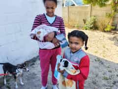 Stanford Animal Welfare Society’s Monthly Animal Clinic