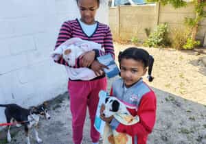 Stanford Animal Welfare Society’s Monthly Animal Clinic