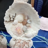 Seashell crafts