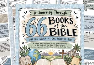 NEW! A Journey Through the 66 Books of the Bible