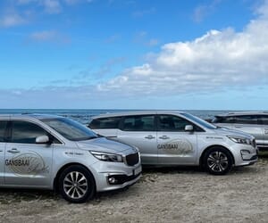 Transfers to Cape Town and Beyond