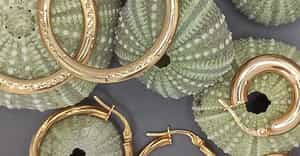 Yellow Gold Hoop Earrings