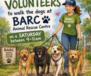 BARC Animal Welfare Needs Volunteers to Walk the Dogs!