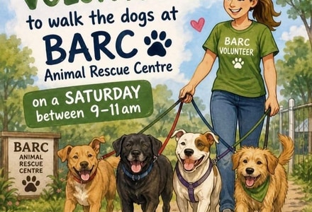 BARC Animal Welfare Needs Volunteers to Walk the Dogs!
