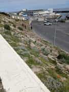 Gansbaai Harbour Garden Gets a Makeover
