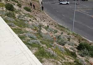 Gansbaai Harbour Garden Gets a Makeover