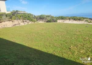 New Grass and Irrigation Upgrade in Romansbaai