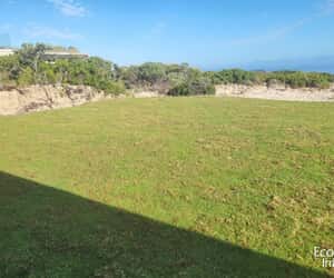 New Grass and Irrigation Upgrade in Romansbaai