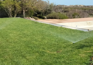 Automatic Irrigation at a Wedding Venue