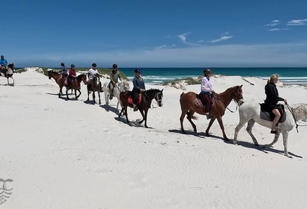 Pearly Beach Horse Riding Reviews
