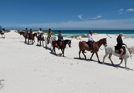 Pearly Beach Horse Riding Reviews