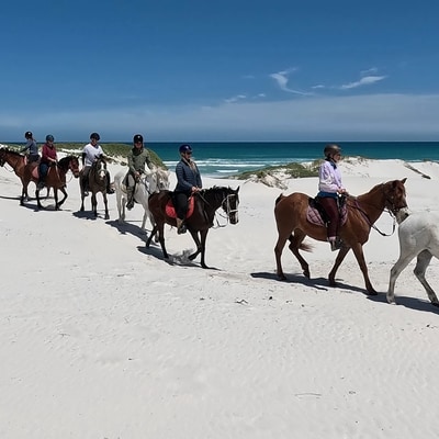 Pearly Beach Horse Riding Reviews