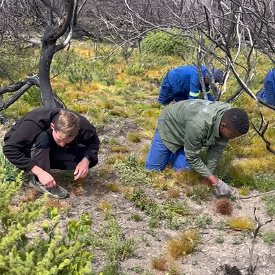 Grootbos Foundation Tackles Invasive Plants After Wildfires