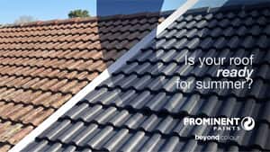 Roof Paint and Maintenance