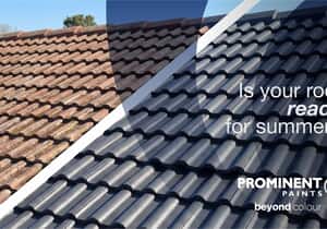 Roof Paint and Maintenance