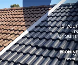 Roof Paint and Maintenance