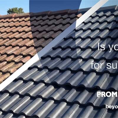 Roof Paint and Maintenance