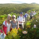 Spring on The Fynbos Trail