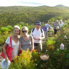 The Fynbos Trail