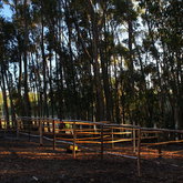Paddock Feeding Stations