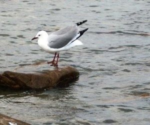 Program Sondag 8 Junie 2014