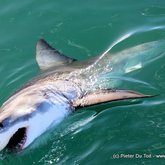 "Oh hi there!!! I was just minding my own business and chilling you know..."