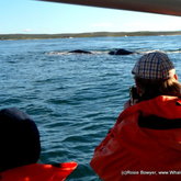 Oooooh mothers and calves we are ecstatic to have you back!!! :)