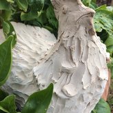 Pottery fun - there's a new chick in town