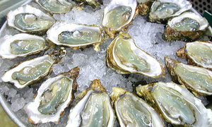 Top 4 Eateries in Arniston/Waenhuiskrans