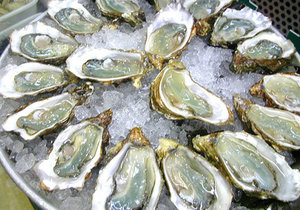 Top 4 Eateries in Arniston/Waenhuiskrans