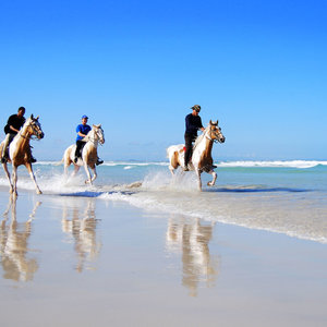 Horse-riding along the beaches of Struisbaai