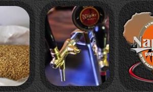 Discover a taste for Cape Agulhas at the southernmost brewery in Africa