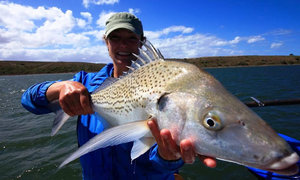 The South African Shark Conservancy