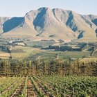 Hemel-en-Aarde Valley