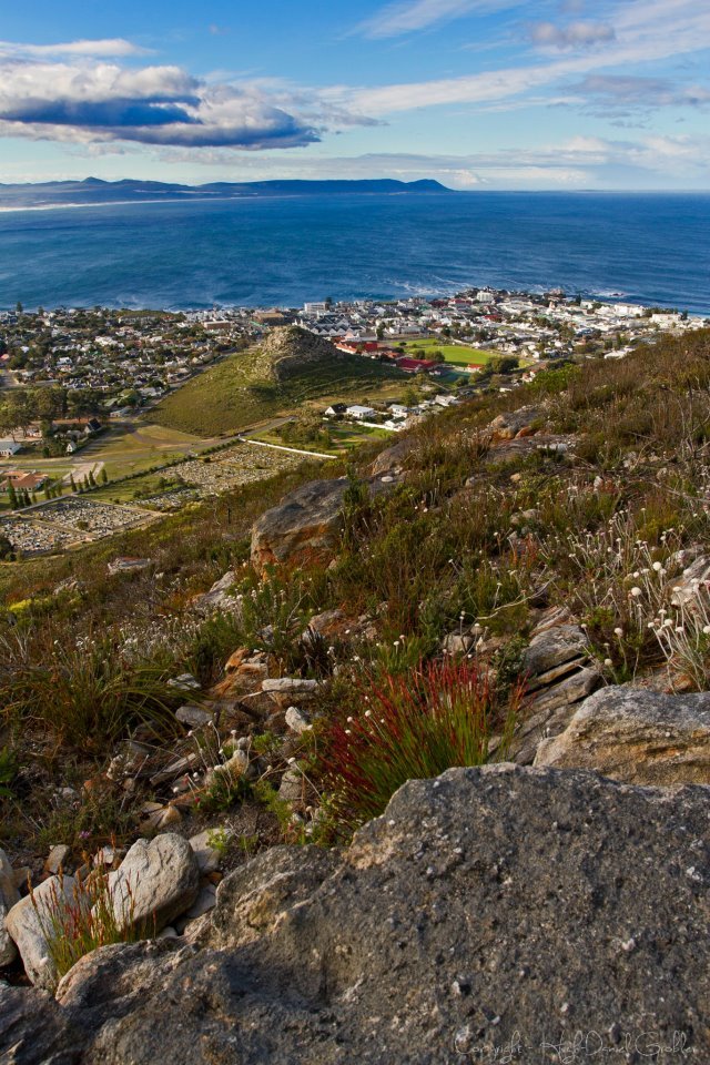 Distant view of Hoy's Koppie with the sea as the backdrop.