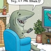 Happy Friday & happy #SharkWeek!!!! #SharkWeek2014