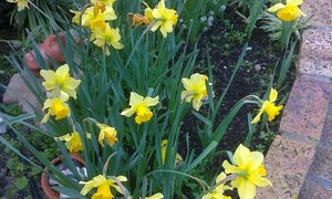 Program vanaf 18 Augustus tot 24 Augustus