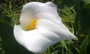 Dagboek 3 September tot 7 September