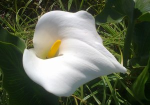 Dagboek 3 September tot 7 September