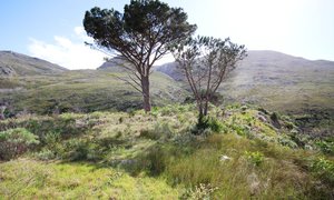 New Listing in Stanford - FARM