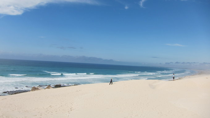 de-hoop-nature-and-marine-reserve-gansbaai-explore_1