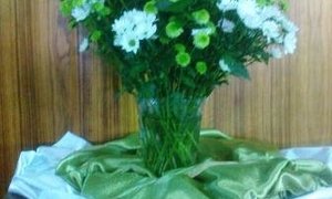 Die gelykenis van die oneerlike bestuurder