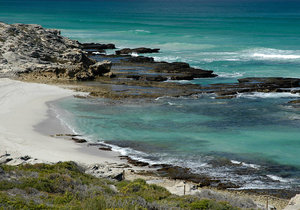 Say Yes! to De Hoop this YESvember